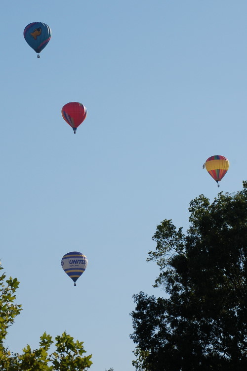 DSC_2964w.JPG