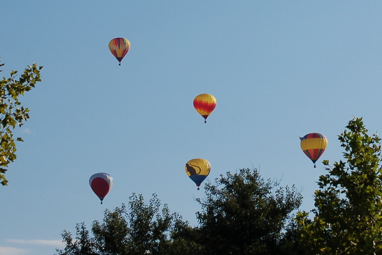 DSC_2970w.JPG