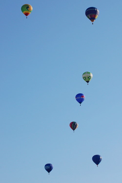 DSC_3000w.JPG