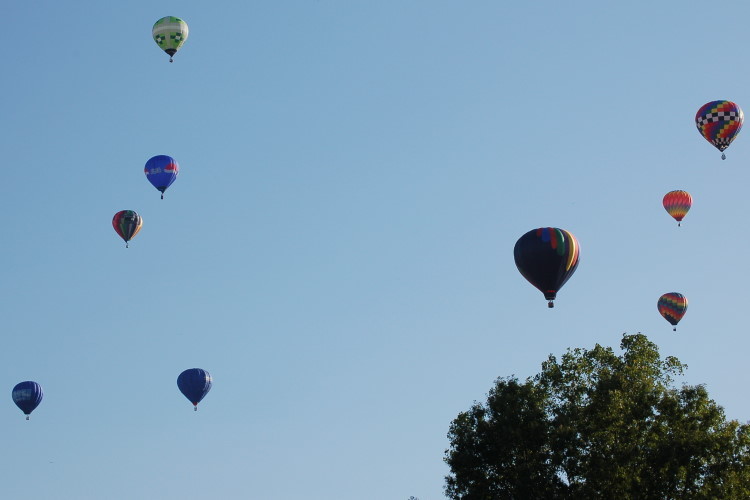 DSC_3001w.JPG