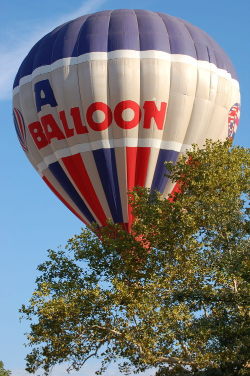DSC_3030w.JPG