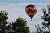 DSC_2978w.JPG