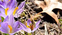 DSC_1389a.JPG