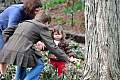 DSC_6684w.JPG