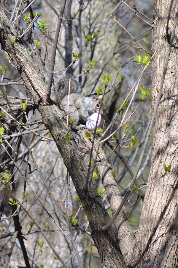 DSC_8096w.JPG