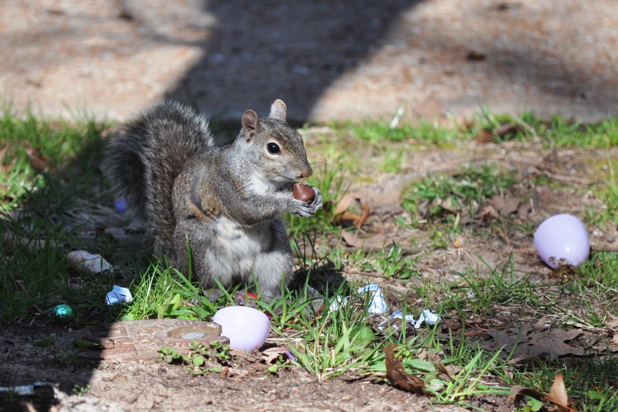 DSC_8105w.JPG